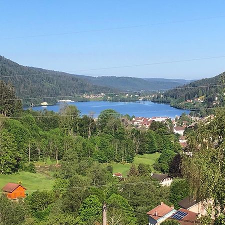 F3 Superbe Vue Lac, Grand Balcon, Ambiance Nature Gerardmer Bagian luar foto