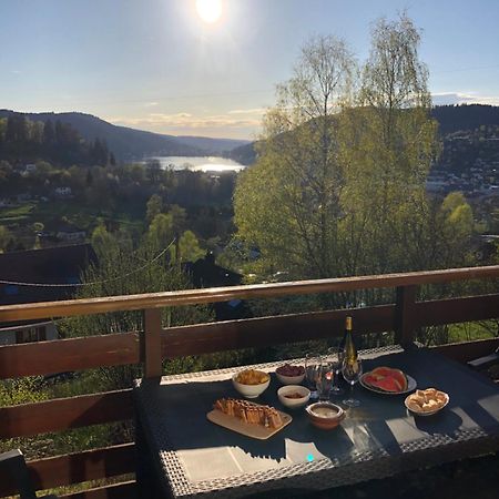 F3 Superbe Vue Lac, Grand Balcon, Ambiance Nature Gerardmer Bagian luar foto